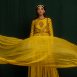 AAFIANA ANARKALI